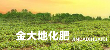 干香菇泡多长时间